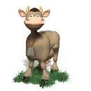 vive les vaches!